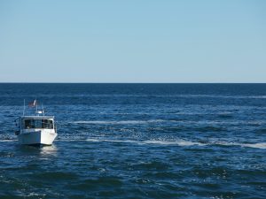 These are the Best Fishing Boats of 2018
